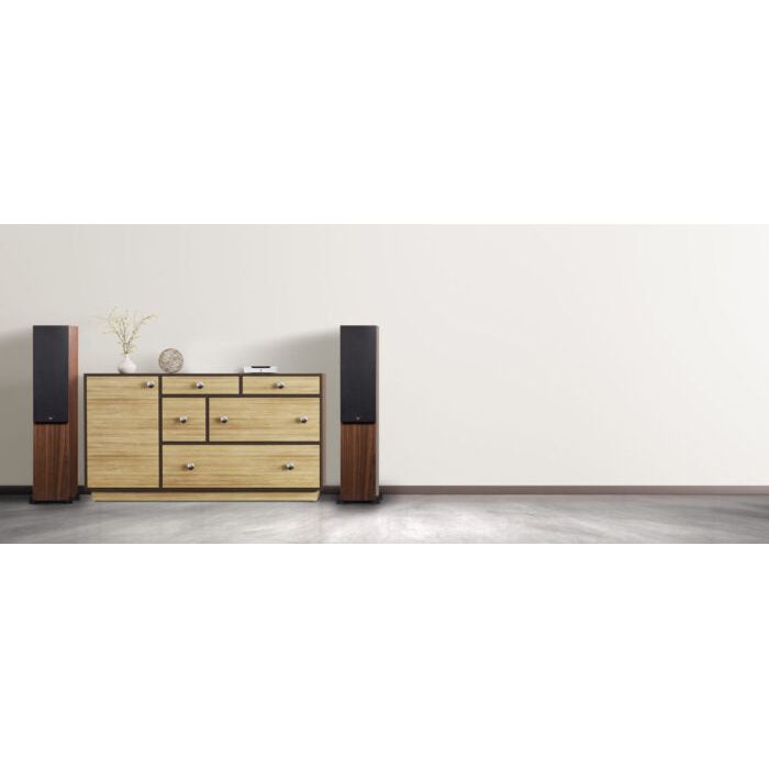 Bluesound PowerNode Edge