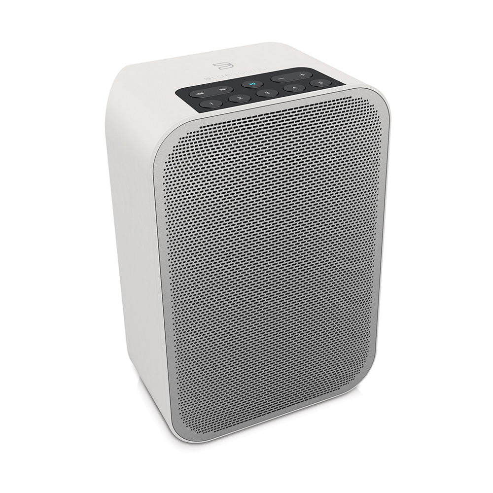 Bluesound Flex 2i
