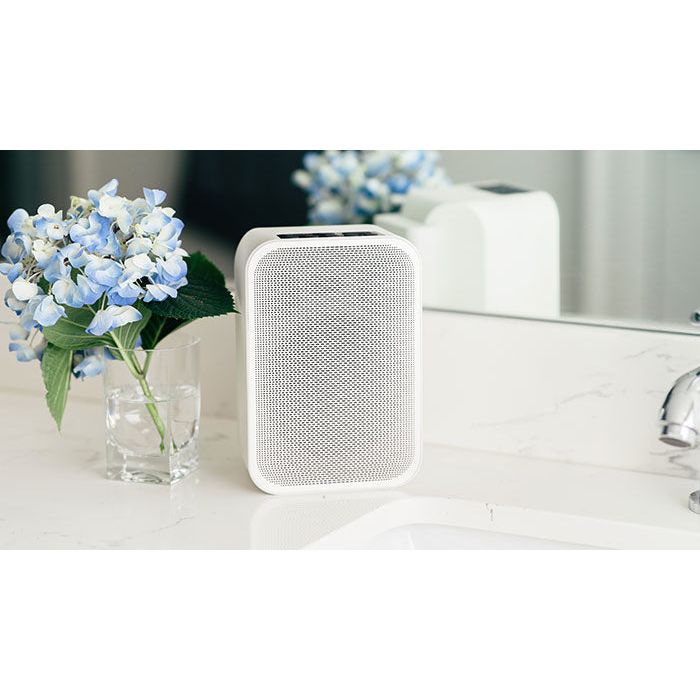 Bluesound Flex 2i