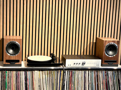 Plattenspieler-Set "Advanced"