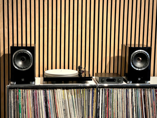 Plattenspieler-Set "Professional"