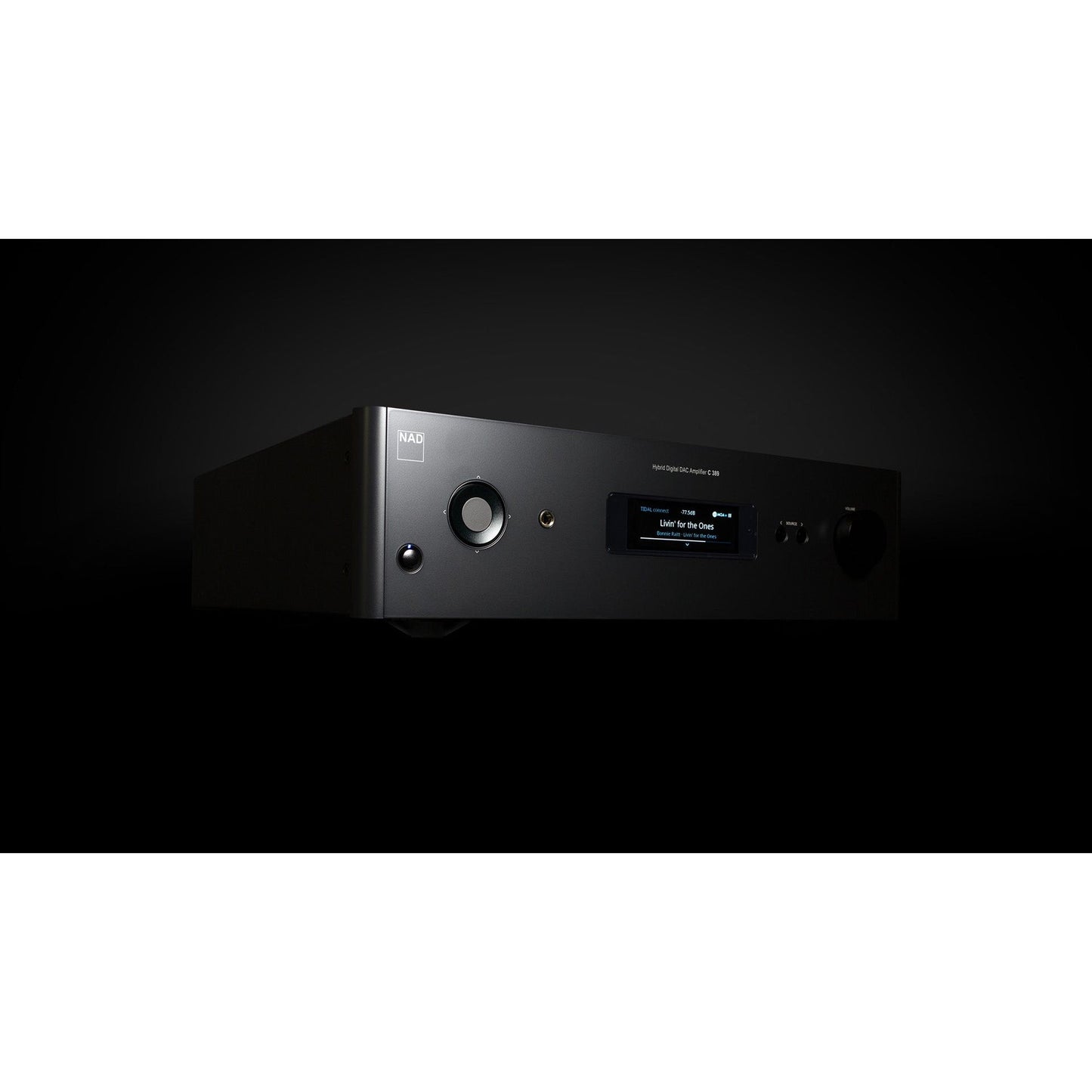 NAD C 389