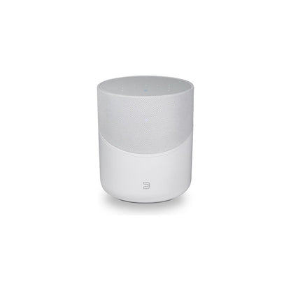 Bluesound Pulse M